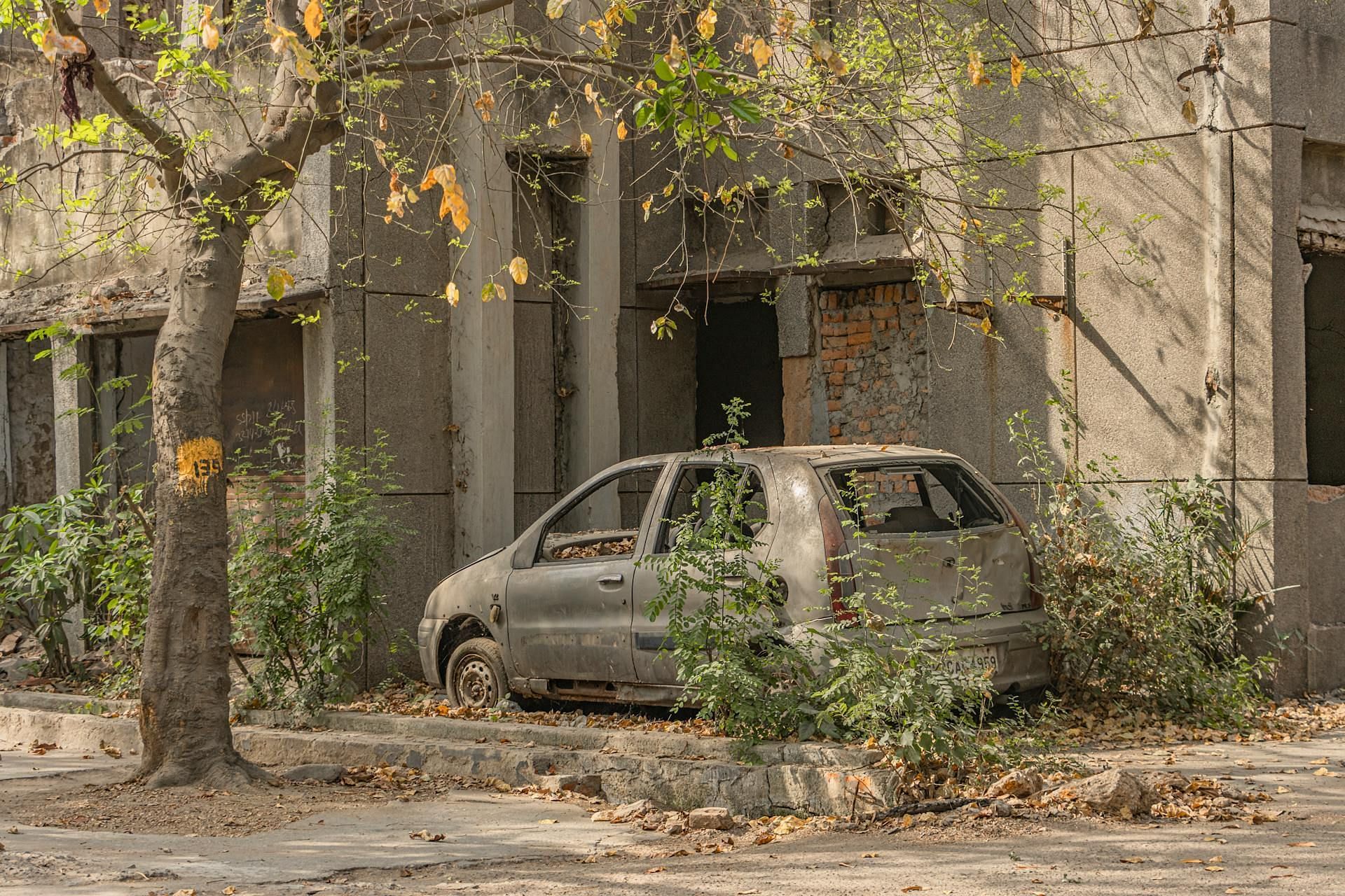 Tom's body was found inside his abandoned car (Image via Pexels)